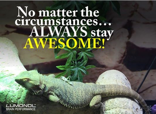 How to Always Stay Awesome